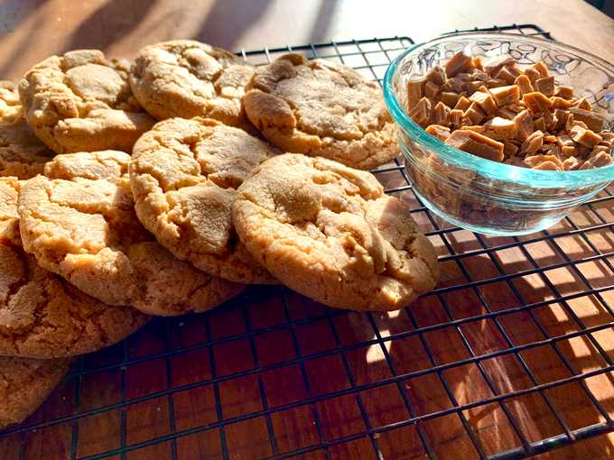 spiced-peanut-butter-cookies-2.jpeg